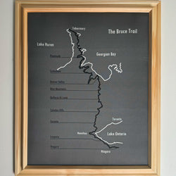 Large Bruce Trail Push Pin Progress Map