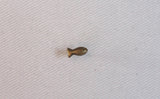 Fish Map Pin
