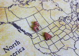 Moose / Elk Map Pin / Tack