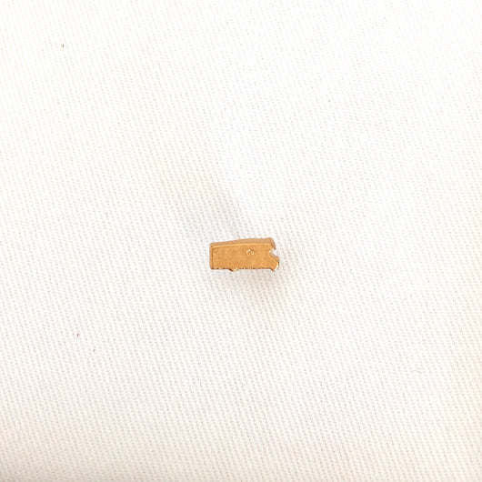 RV Recreational Vehicle Map Marking Pins – Butterpot Designs